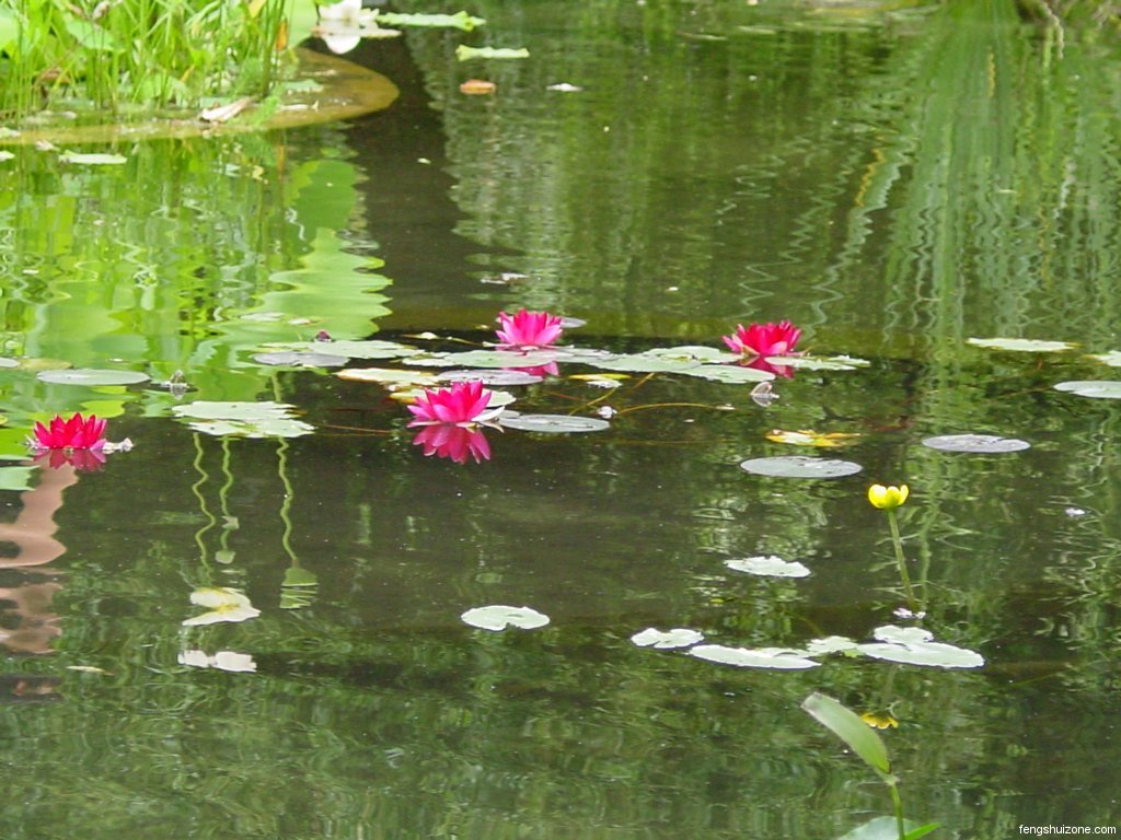fond d'ecran gratuit feng shui